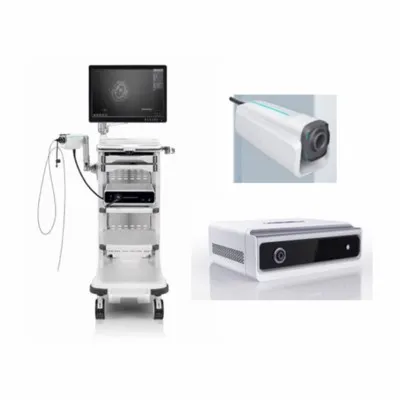 Multimodal Endoscopic Imaging System